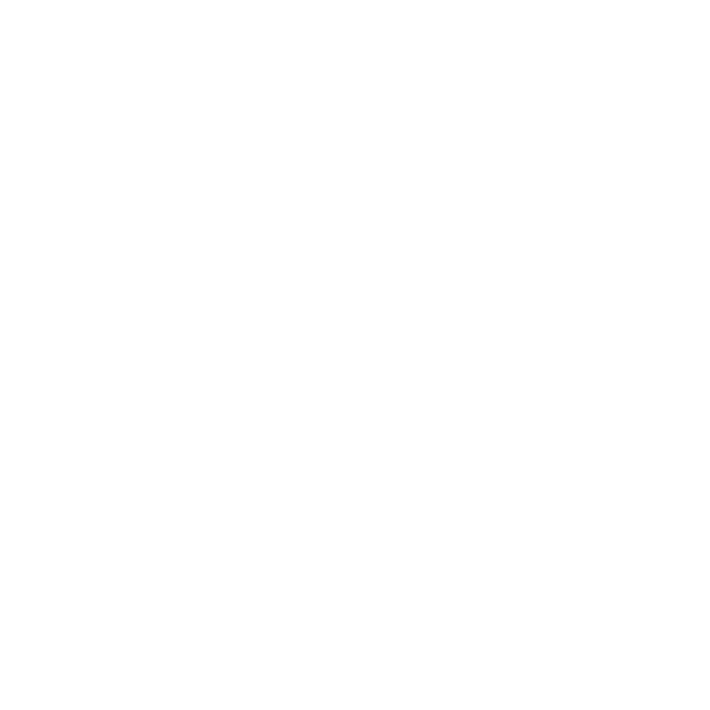 david's bridal free shipping