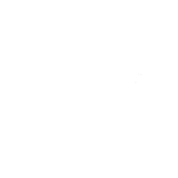 Livingsocial Logo Png