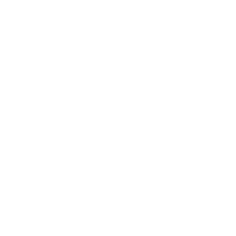 Speediance