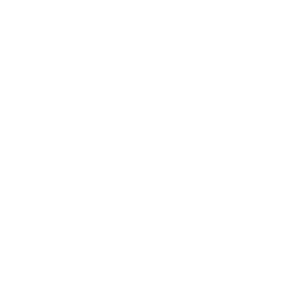 Rocket dog deals coupon