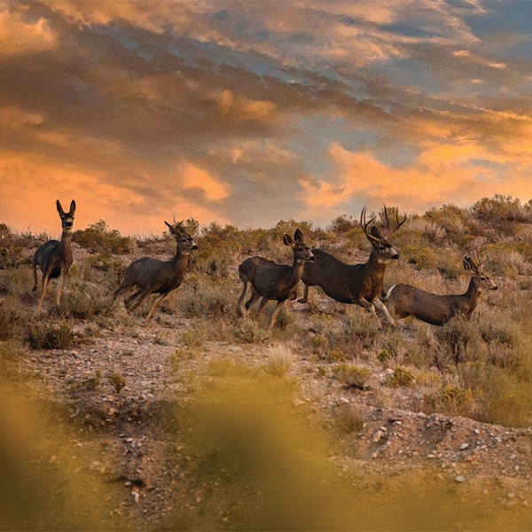 Upromise helps you save for college.