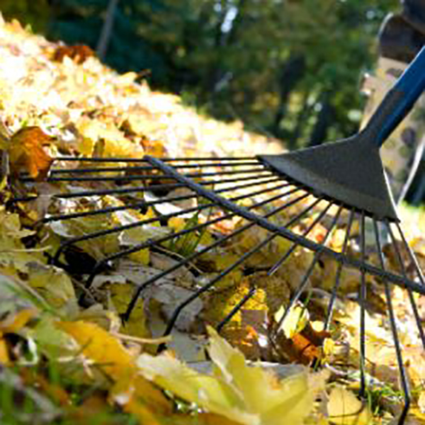 Upromise Helps You Save For College  Upromise Helps You Save For College