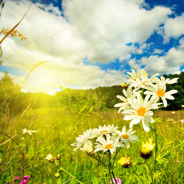 MyPoints Your Daily Rewards Program