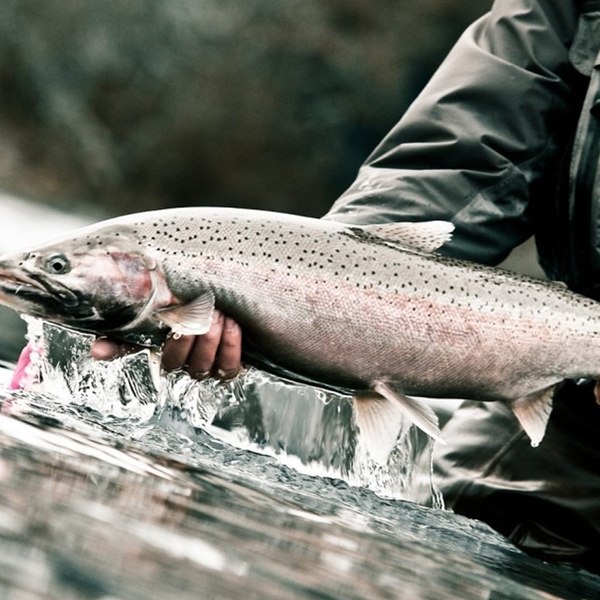 Best Overton's Coupons, Promo Codes, Coupons & Free Shipping ...