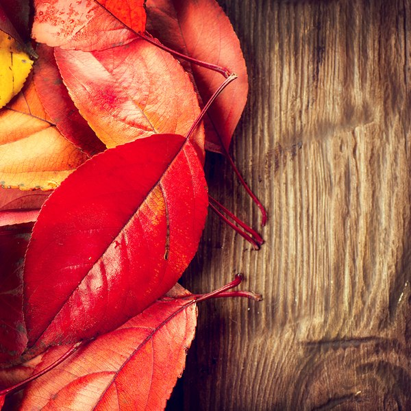 MyPoints Your Daily Rewards Program mypoints-your-daily-rewards-program