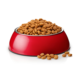 Dry Cat Food - Any Brand