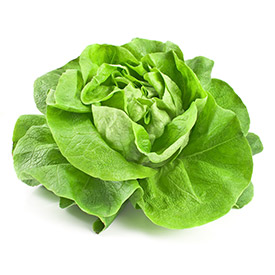 Lettuce - Any Brand