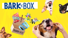 BarkBox - Dog Goodies Galore
