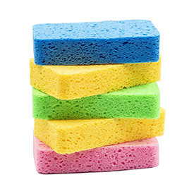 Sponge - Any Brand